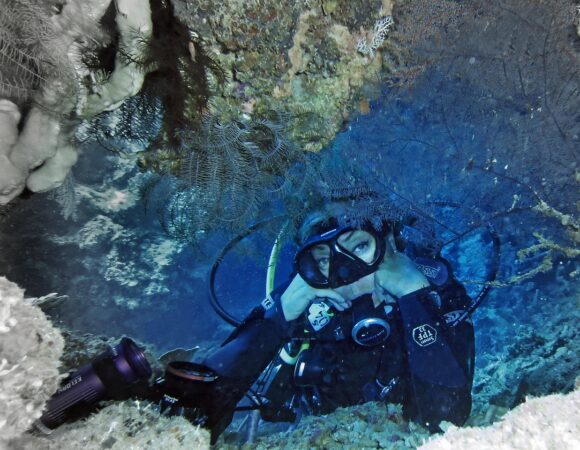 Isla Catalina Buceo Viejo